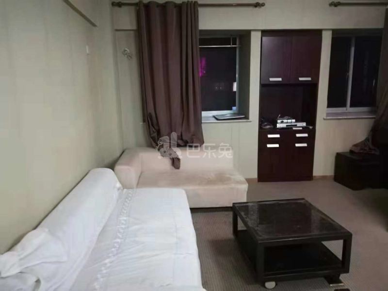 托乐嘉单身公寓13331539周边环境图4