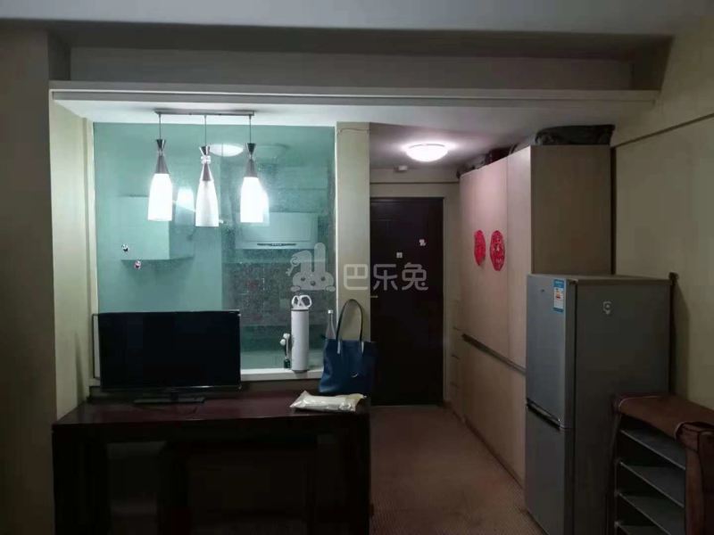 托乐嘉单身公寓13331539周边环境图6