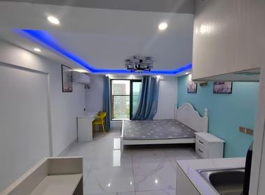 星悦城 1室1厅1卫