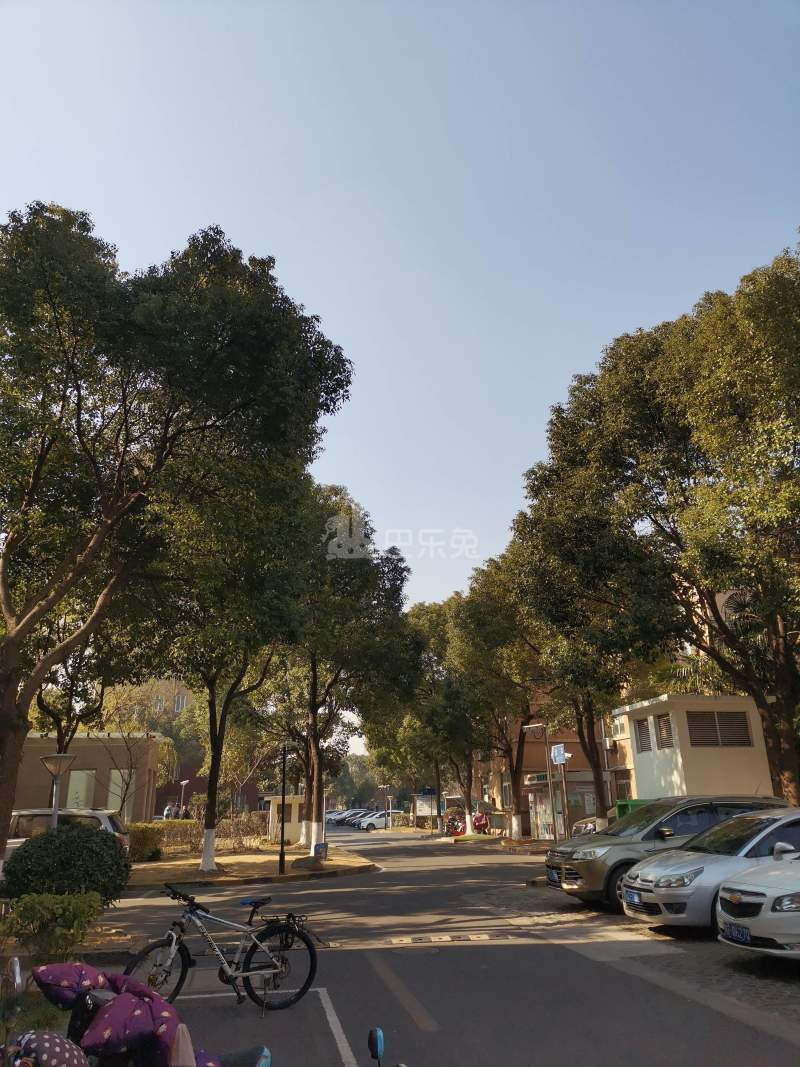 绿久苑1346722周边环境图16