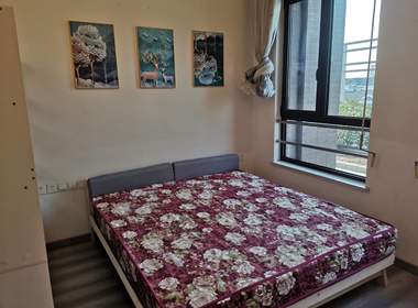 晶典国际大厦 1室0厅0卫