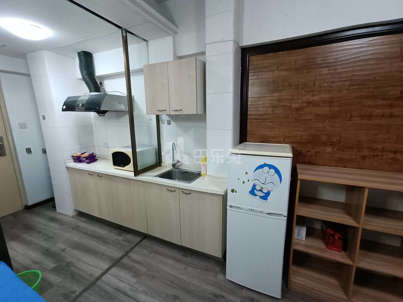 托乐嘉单身公寓13498758周边环境图5