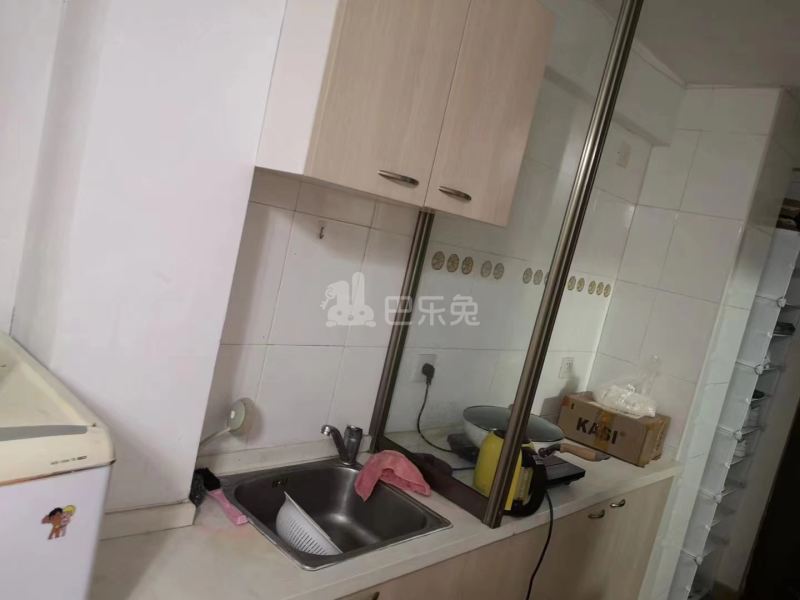 托乐嘉单身公寓13542813周边环境图4