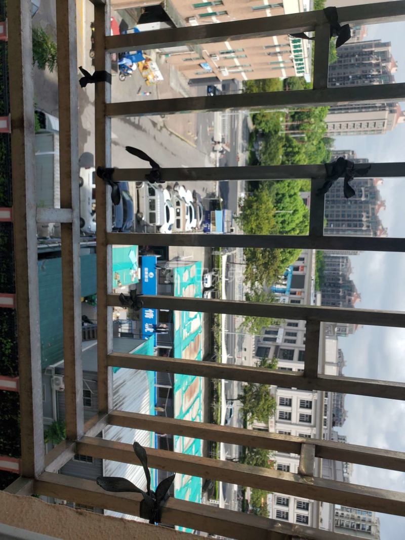 鑫峰苑13551804周边环境图8