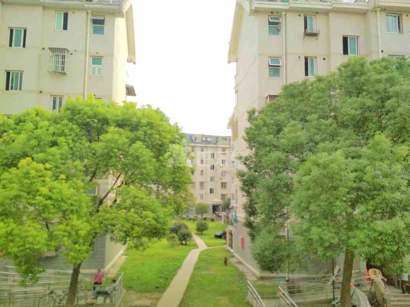 文化馨苑5221274周边环境图9