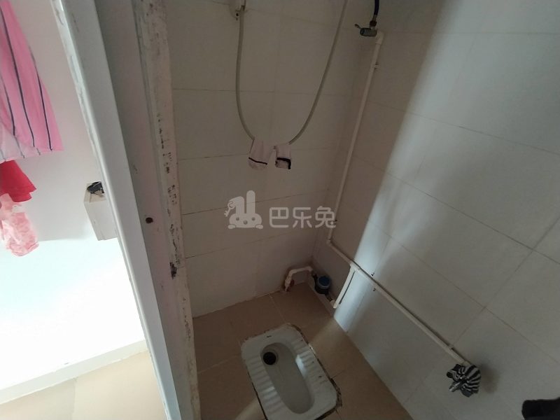 珠光村1359250卫生间图11