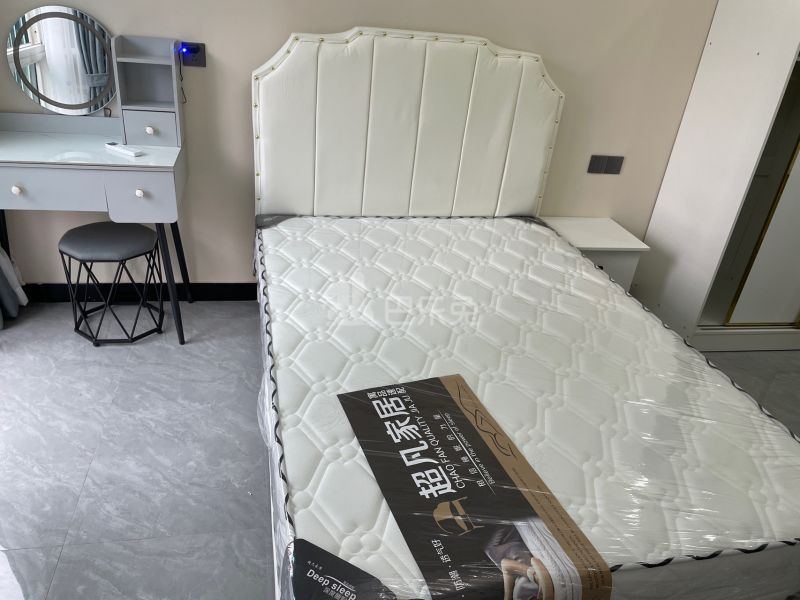 三新家园东区13711318卧室图3