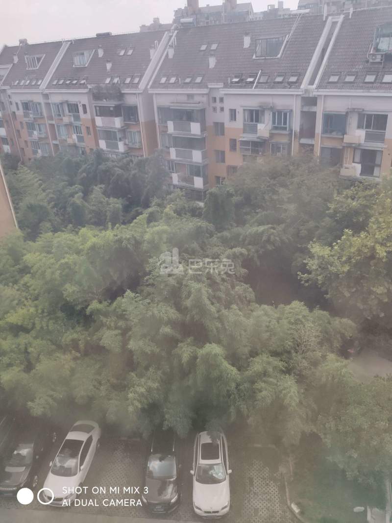 滨江雅苑13749716周边环境图22