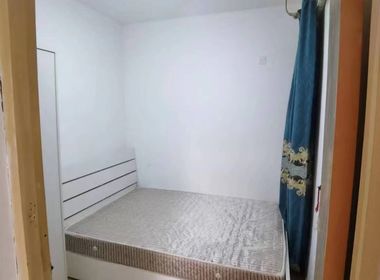 紫金墨香苑 1室0厅0卫