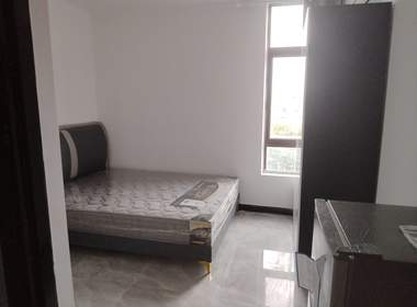 梅园村（奉贤） 