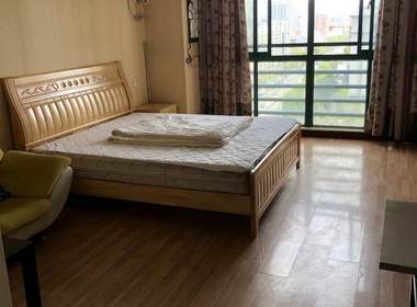 辰龙广场 1室1厅1卫