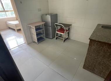 明珠公寓（振新店） 1室1厅1卫