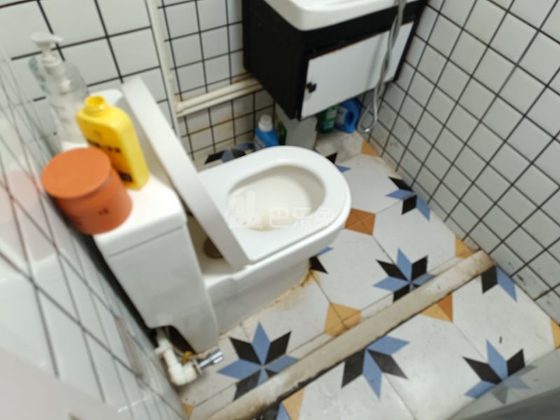 和泰玫瑰园13865264卫生间图5