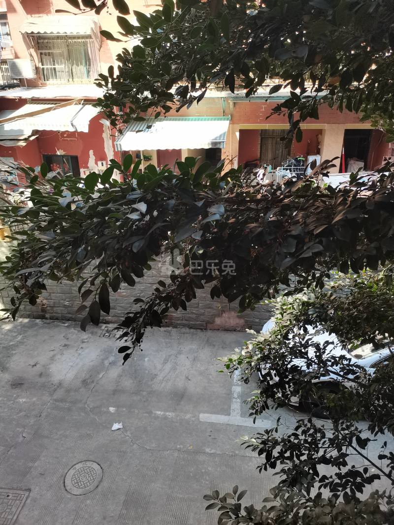 光新苑（光新路200弄）13898868周边环境图7