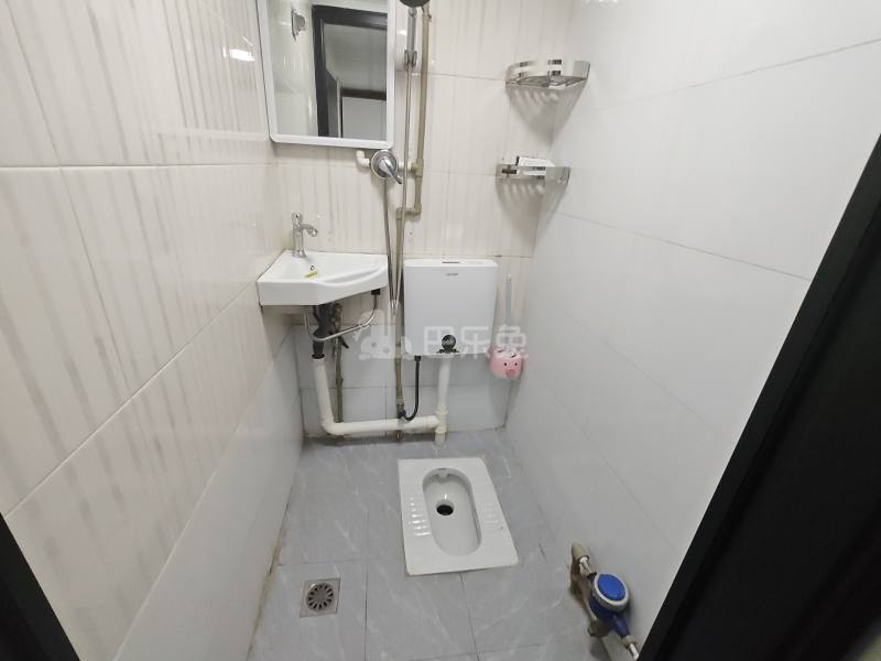 天源大厦（南山）13901055卫生间图6