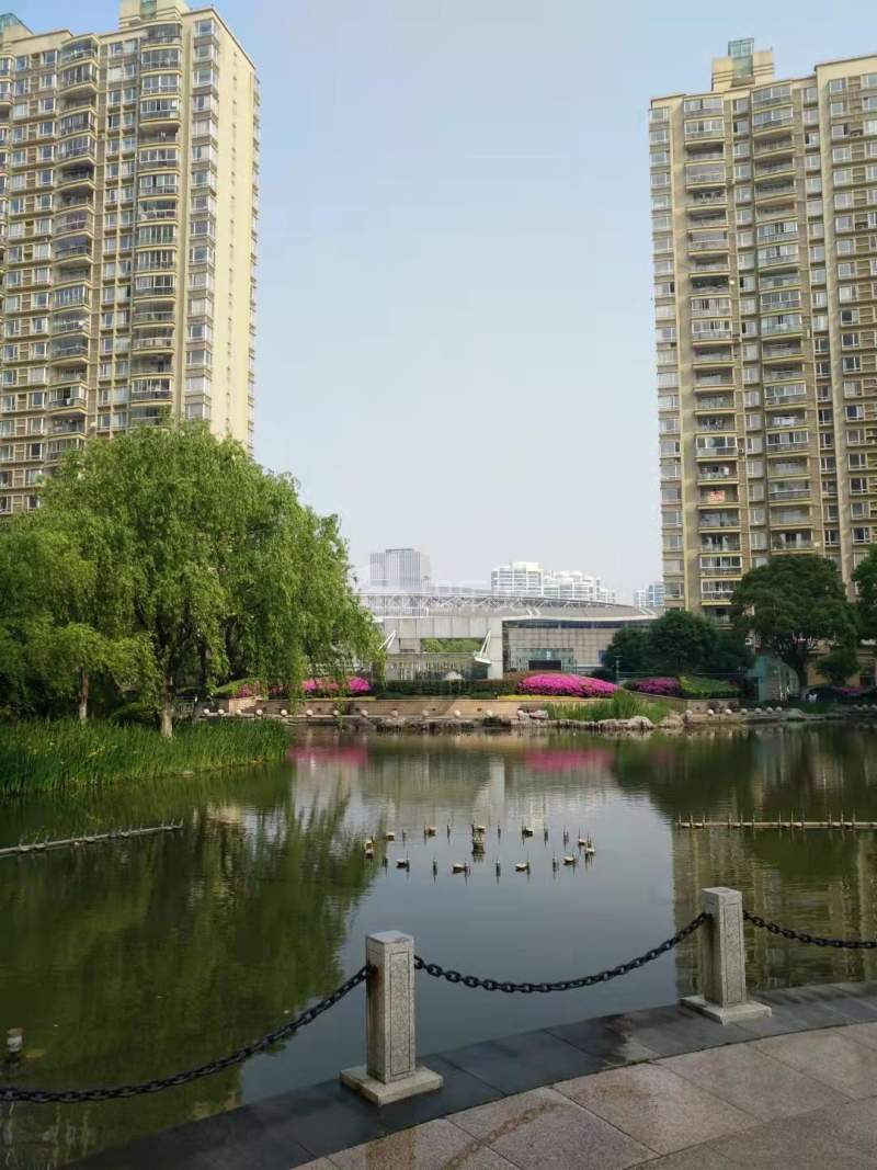 盛世年华13943178周边环境图11