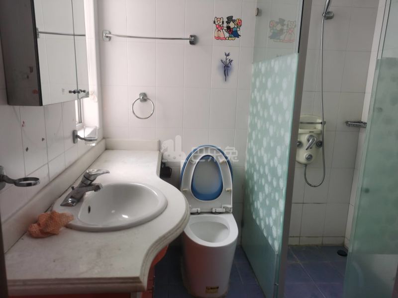 三湘世纪花城西区13981888卫生间图4