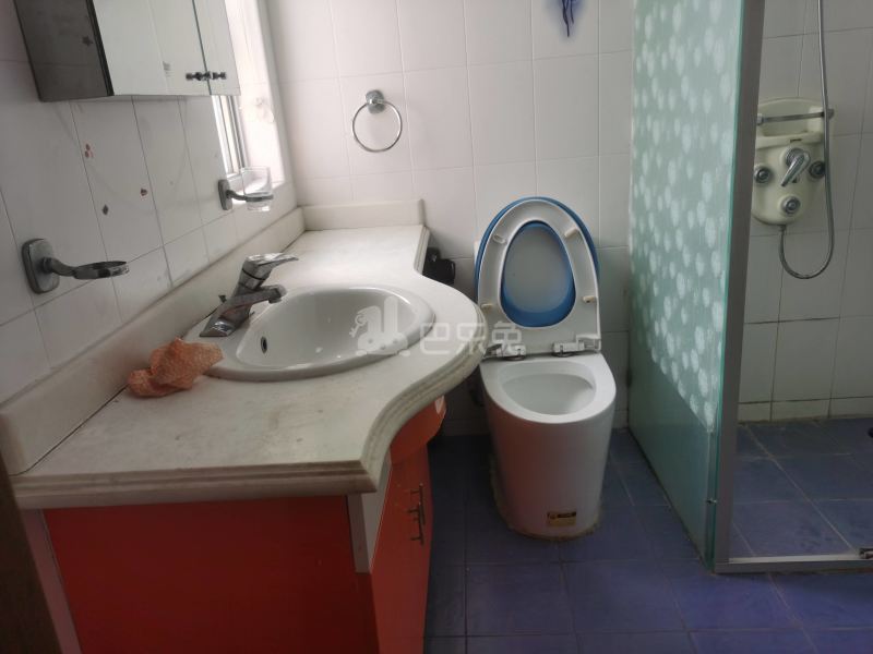 三湘世纪花城西区13981888卫生间图6