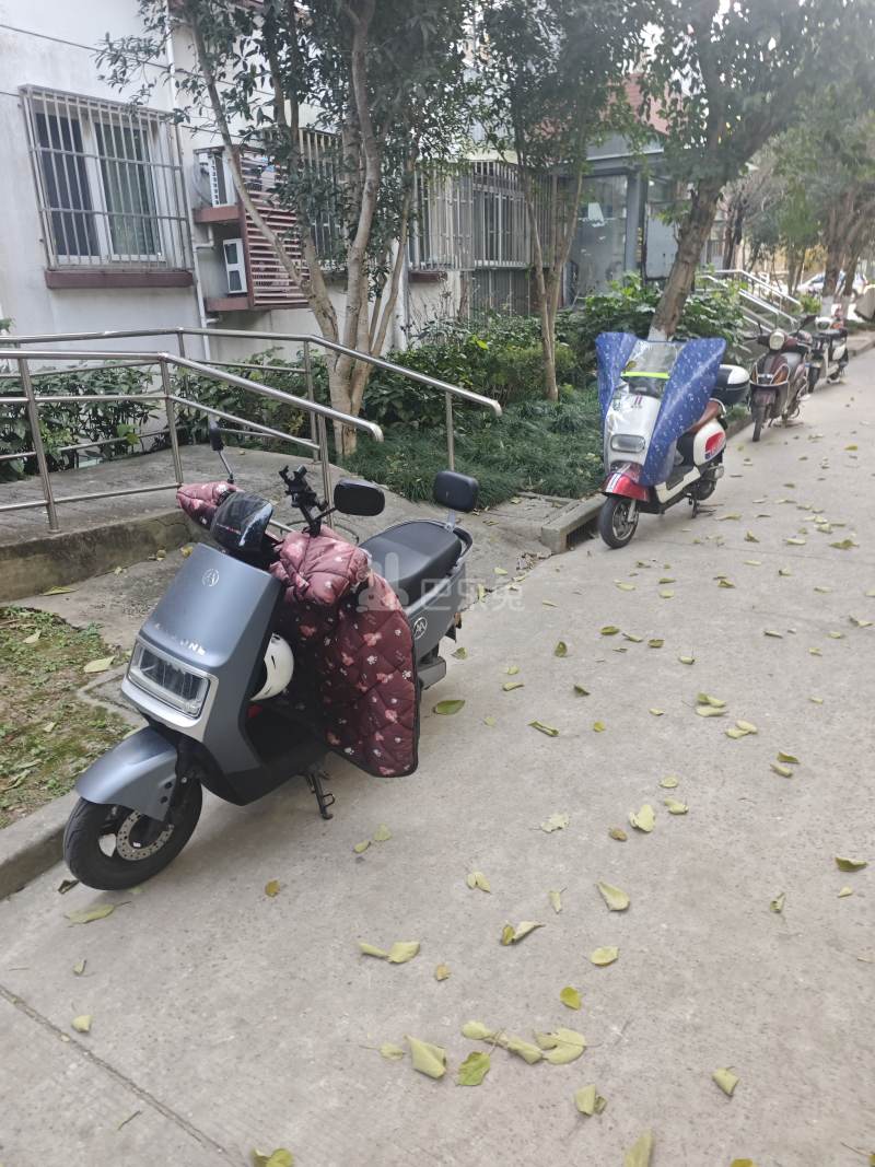 新一小区（新市南路590弄）14021220周边环境图7