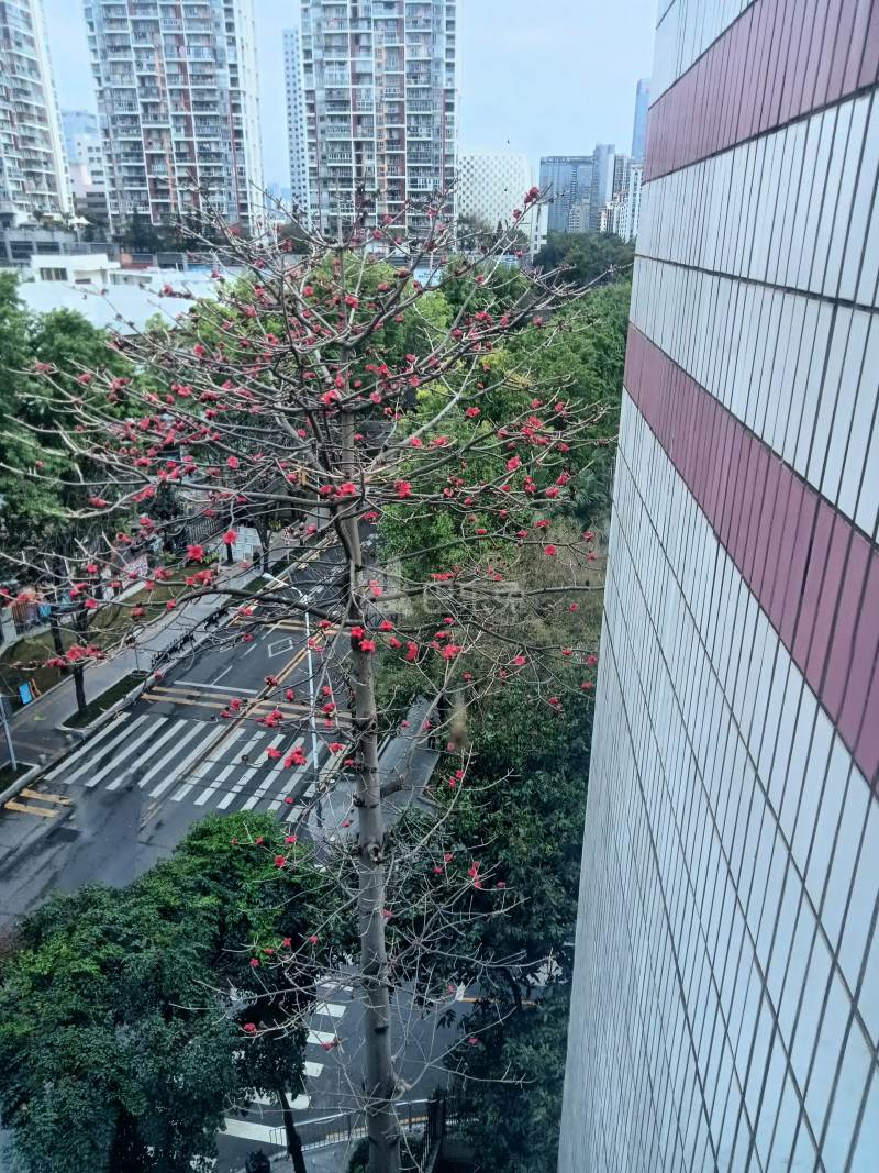 莲城花园14035526周边环境图6