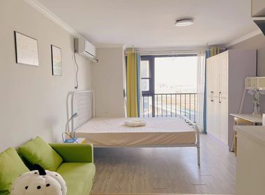 龙湖新壹城 1室0厅1卫