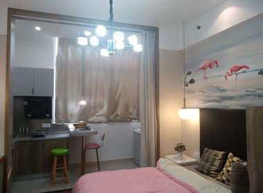 蓝盾青年公寓 1室1厅1卫