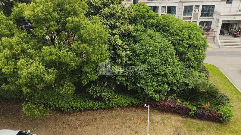 金海苑南区14082009周边环境图6