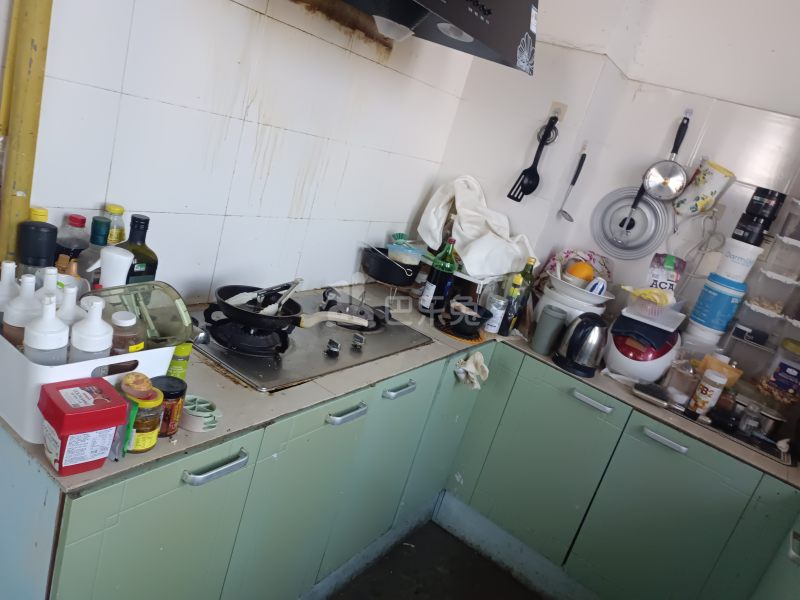 中海瀛台2期14178144厨房图3