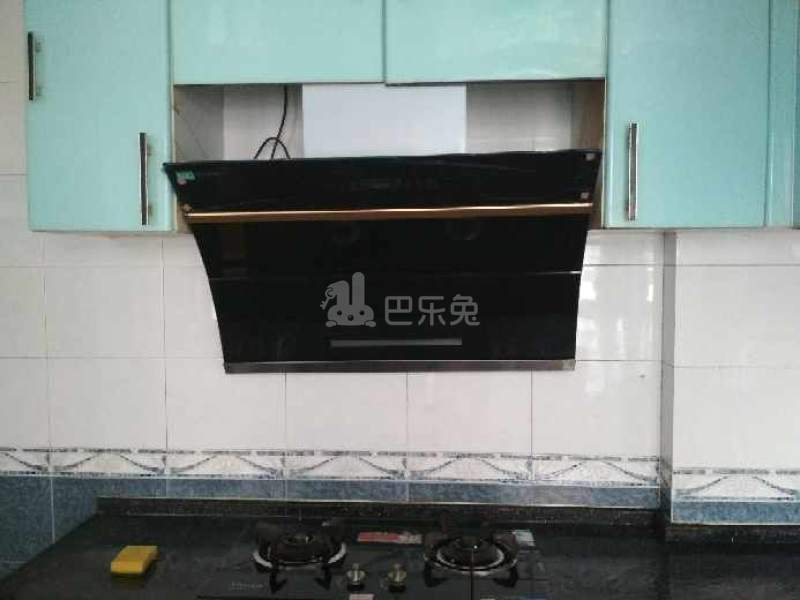 桃源居9区1445998厨房图7