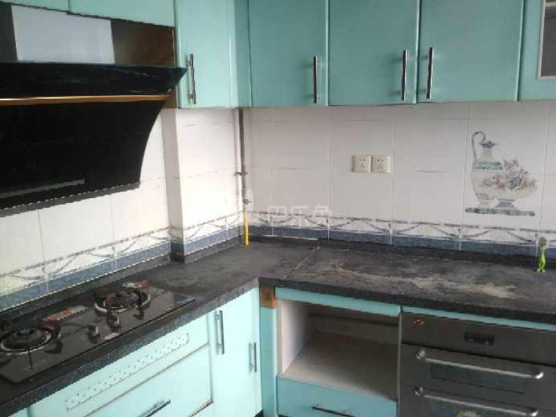 桃源居9区1445998厨房图6