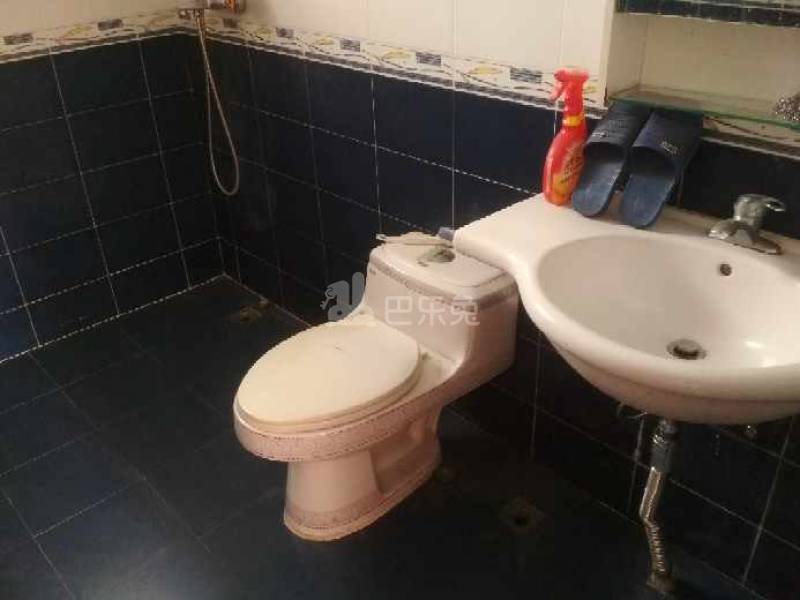 桃源居9区1445998卫生间图8