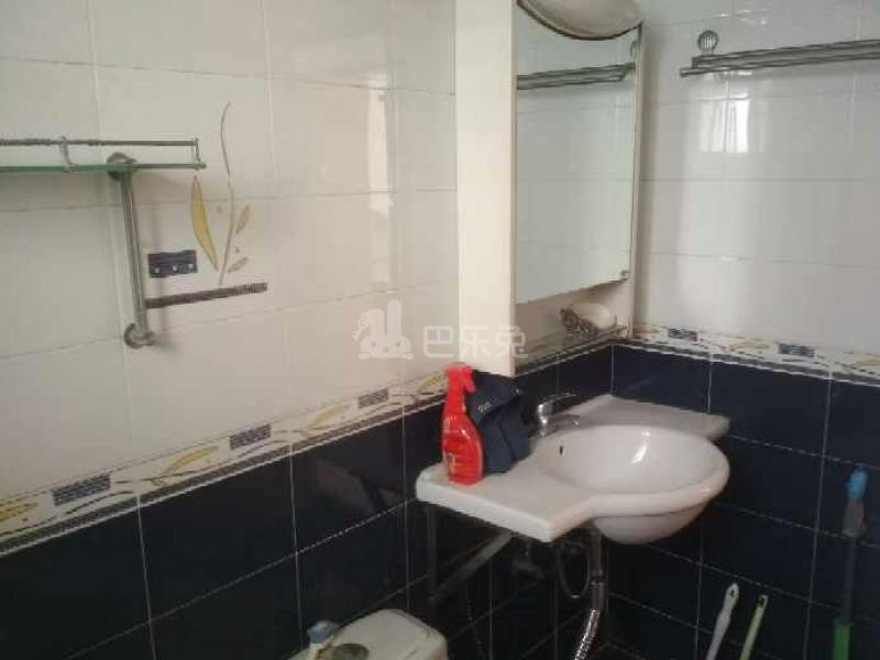 桃源居9区1445998卫生间图9