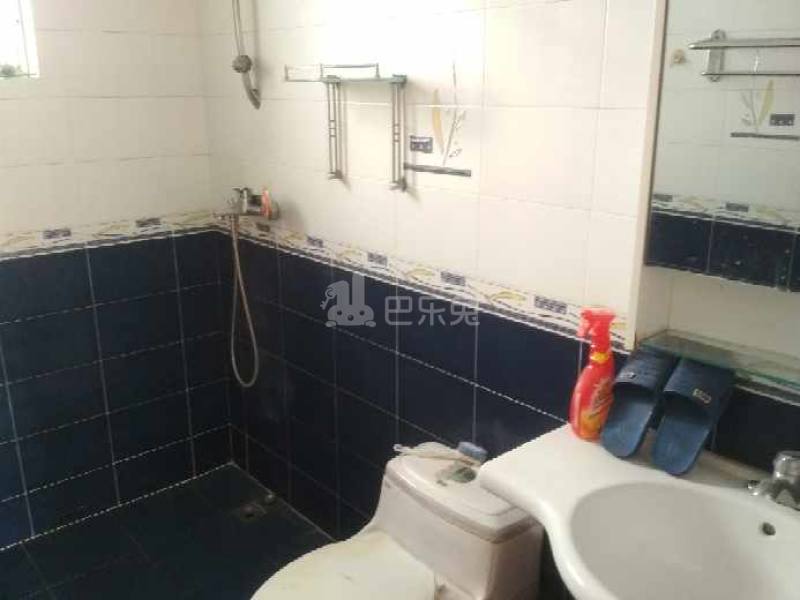 桃源居9区1445998卫生间图10