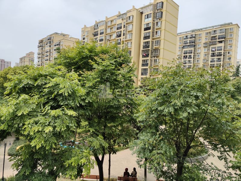 高行绿洲三期14829715周边环境图14