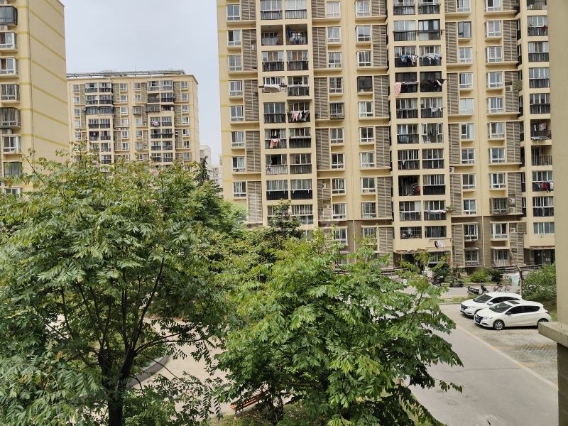 高行绿洲三期14829715周边环境图13