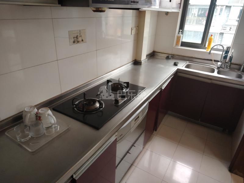 远景佳苑（大华路1355弄）14926792厨房图9