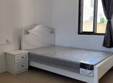 高楼村东风11组 