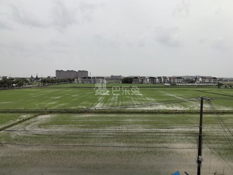 高楼村东风11组14934525周边环境图7