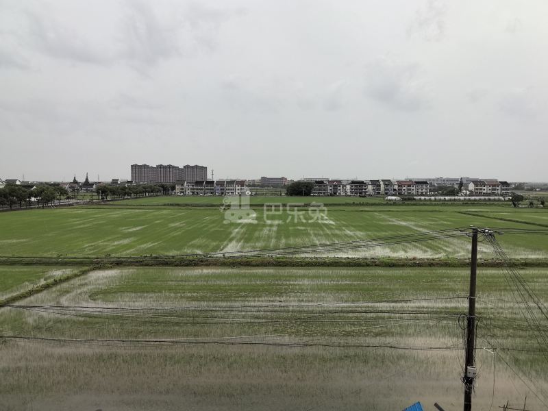 高楼村东风11组14934525周边环境图9