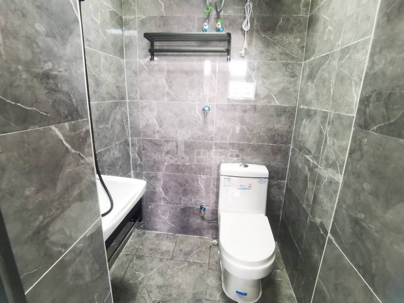 新场镇果园村744号14973202卫生间图3