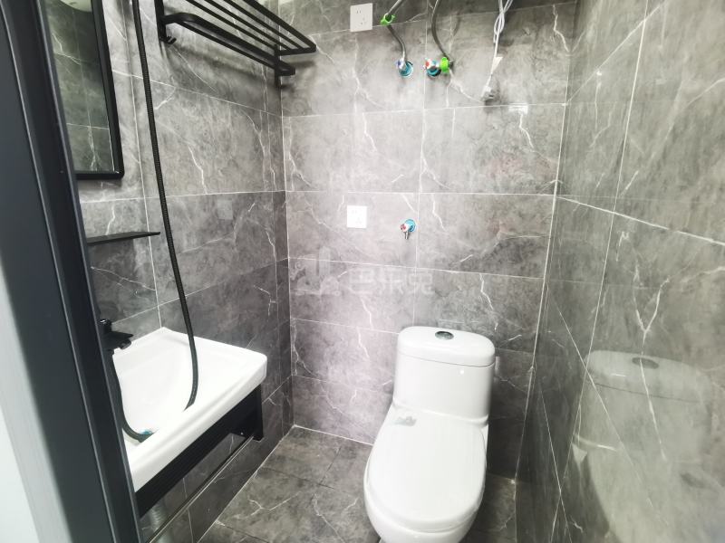 新场镇果园村744号14973203卫生间图3