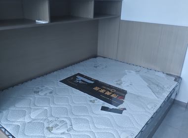 练祁佳城梧桐坊 