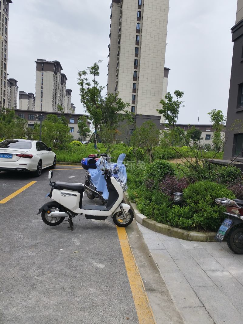 浦江莘松绿锦园(南区)15031995周边环境图6