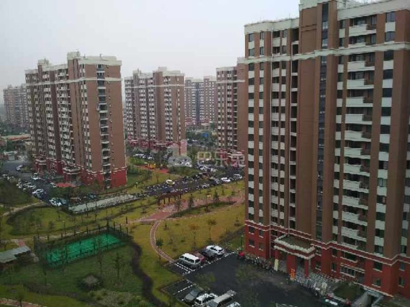 申城佳苑二期B块9566426周边环境图15