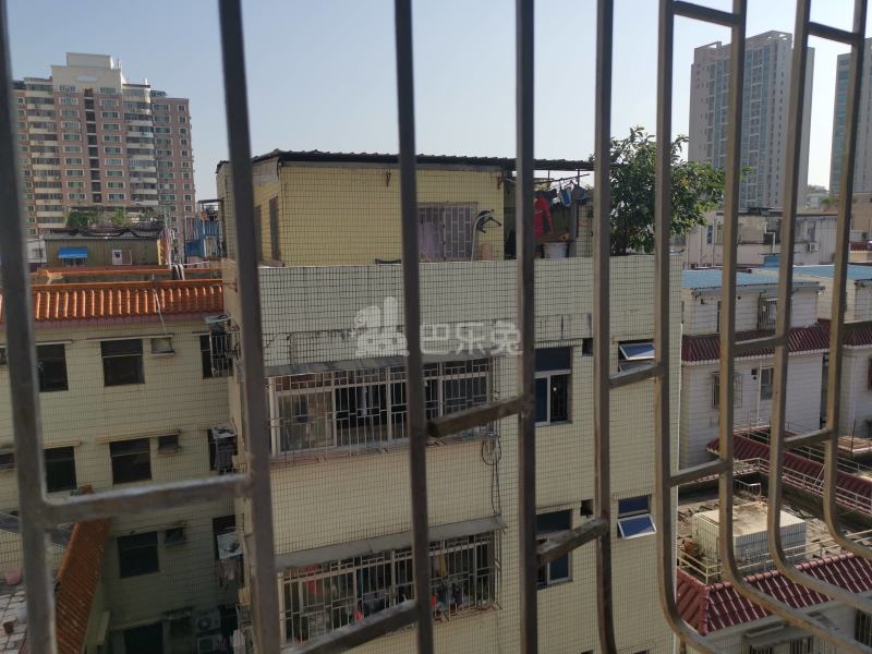 向南综合楼1508252周边环境图7