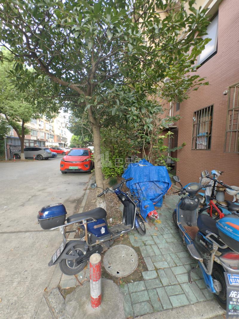 艾南花苑（华绣路179弄）997258周边环境图6