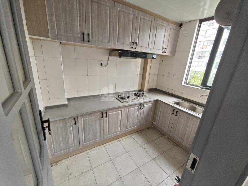 华泾绿苑15204896厨房图7