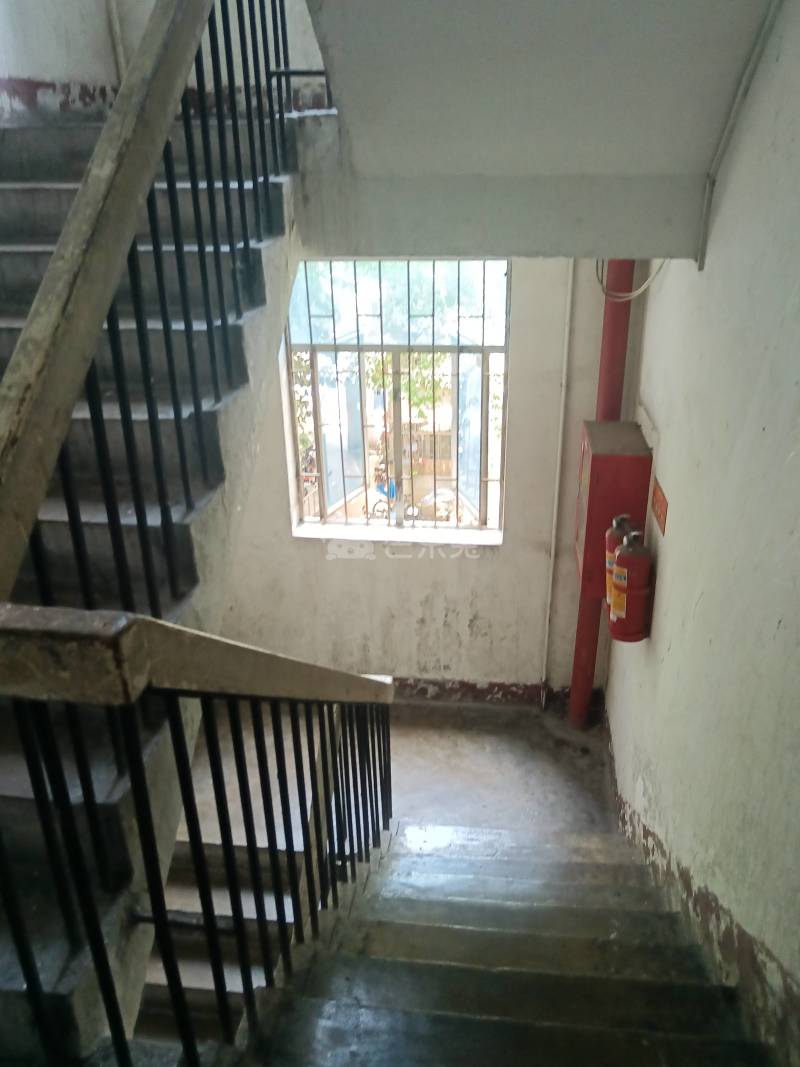 海王小区1526803周边环境图19