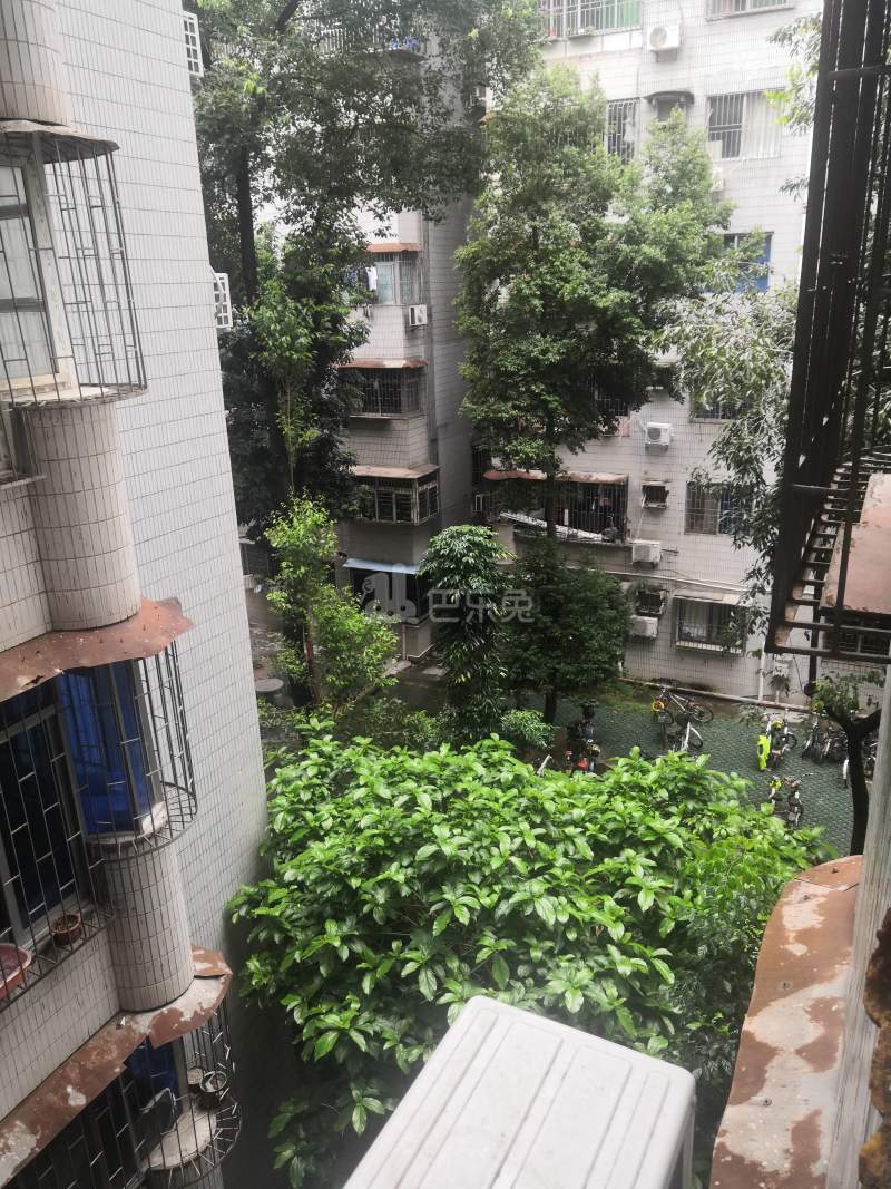 海王小区1526806周边环境图19