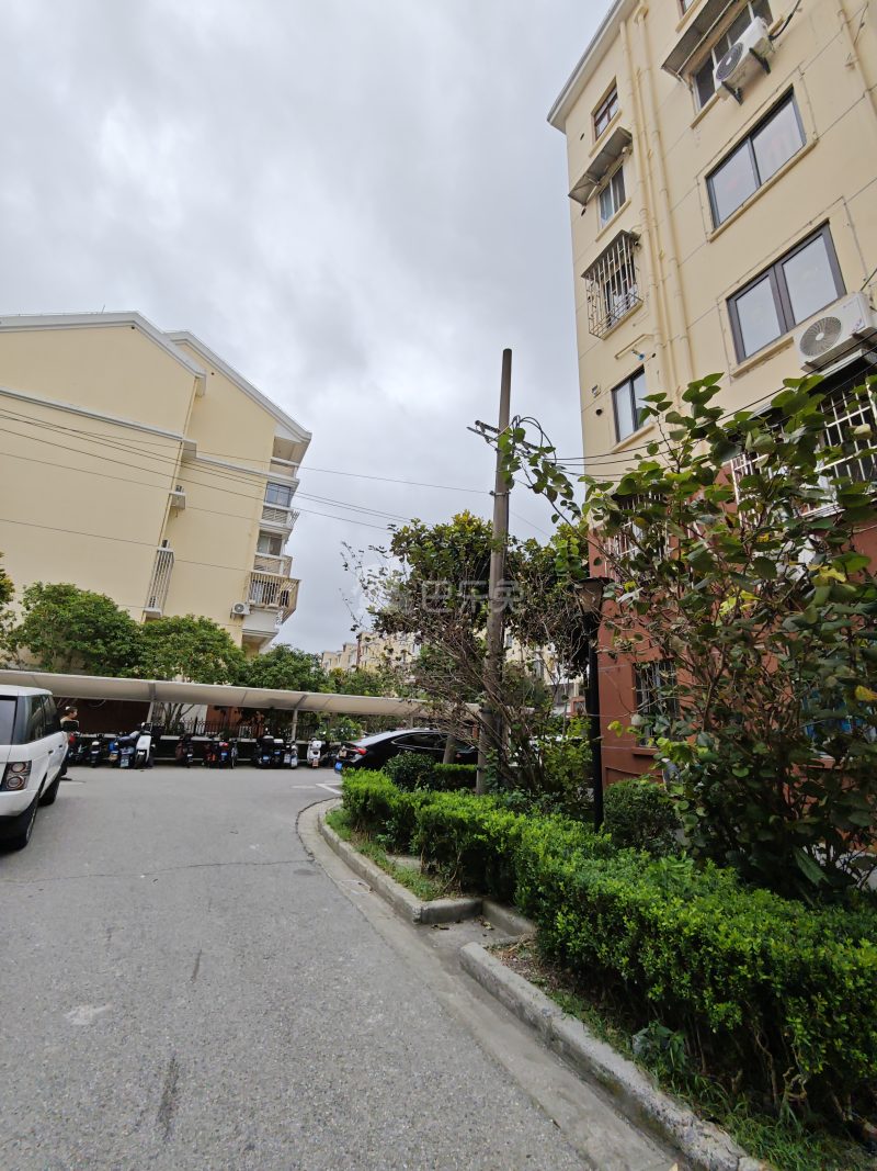 益丰新村15527619周边环境图13